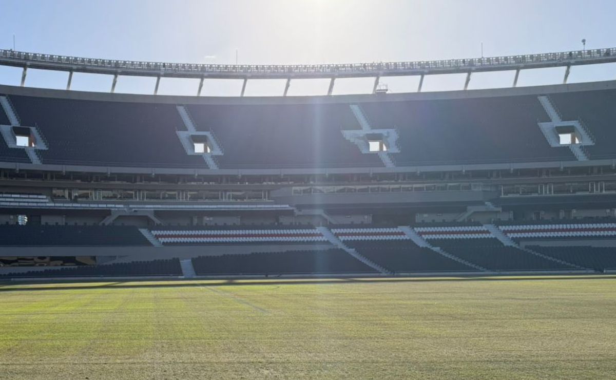 Los hinchas de River, preocupados: así está el campo de juego del ...
