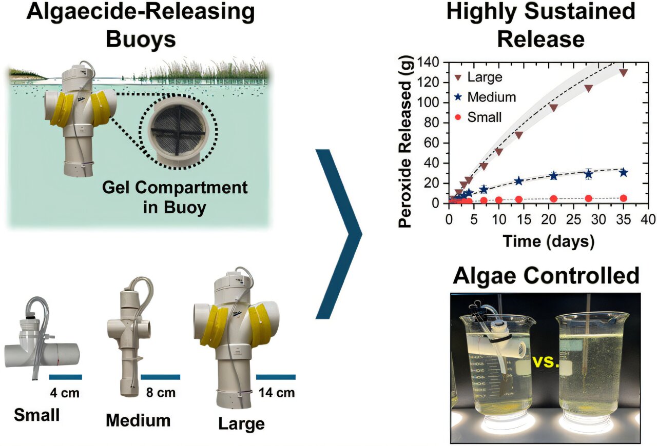 Stopping algae blooms with bacteria-busting buoys