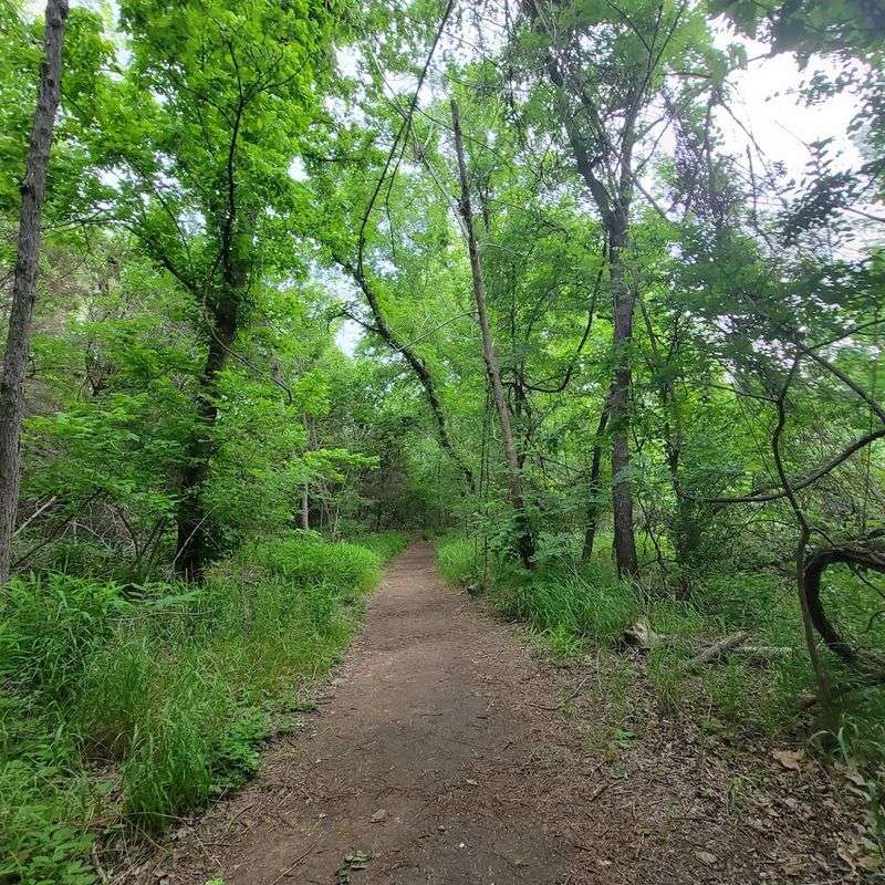 This stunning 2.7-mile Texas hike leads to waterfalls and wildflowers