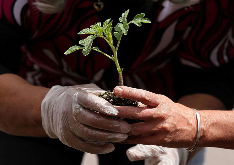 Earth Day, spring clean-up events in Northwest Arkansas, River Valley