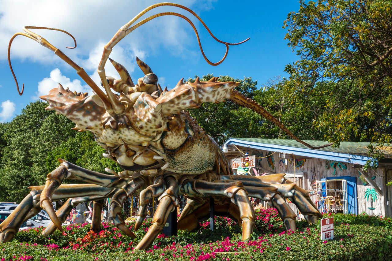Large sculpture of a lobster displayed outdoors near a building surrounded by trees and flowers