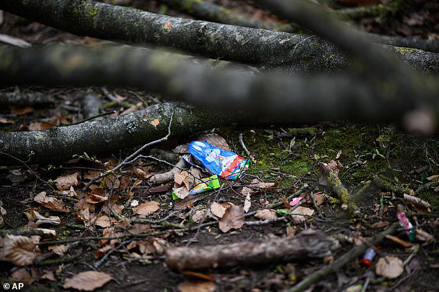 Mother and her baby among three crushed to death by 100ft tree during ...