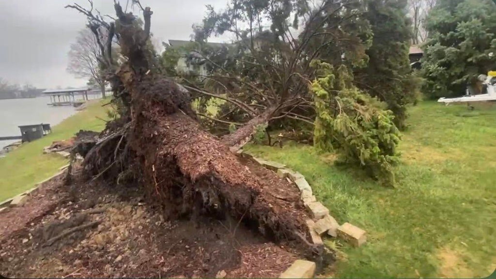 EF-1 tornado touched down in Wayne County, National Weather Service says