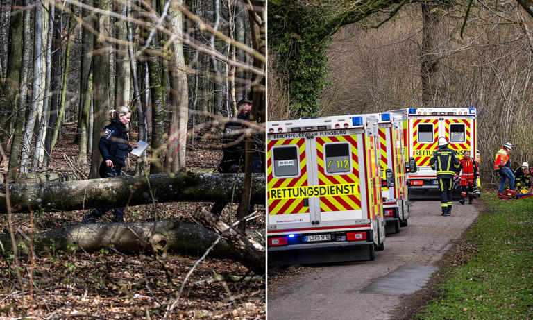 Mother and her baby among three crushed to death by 100ft tree during ...