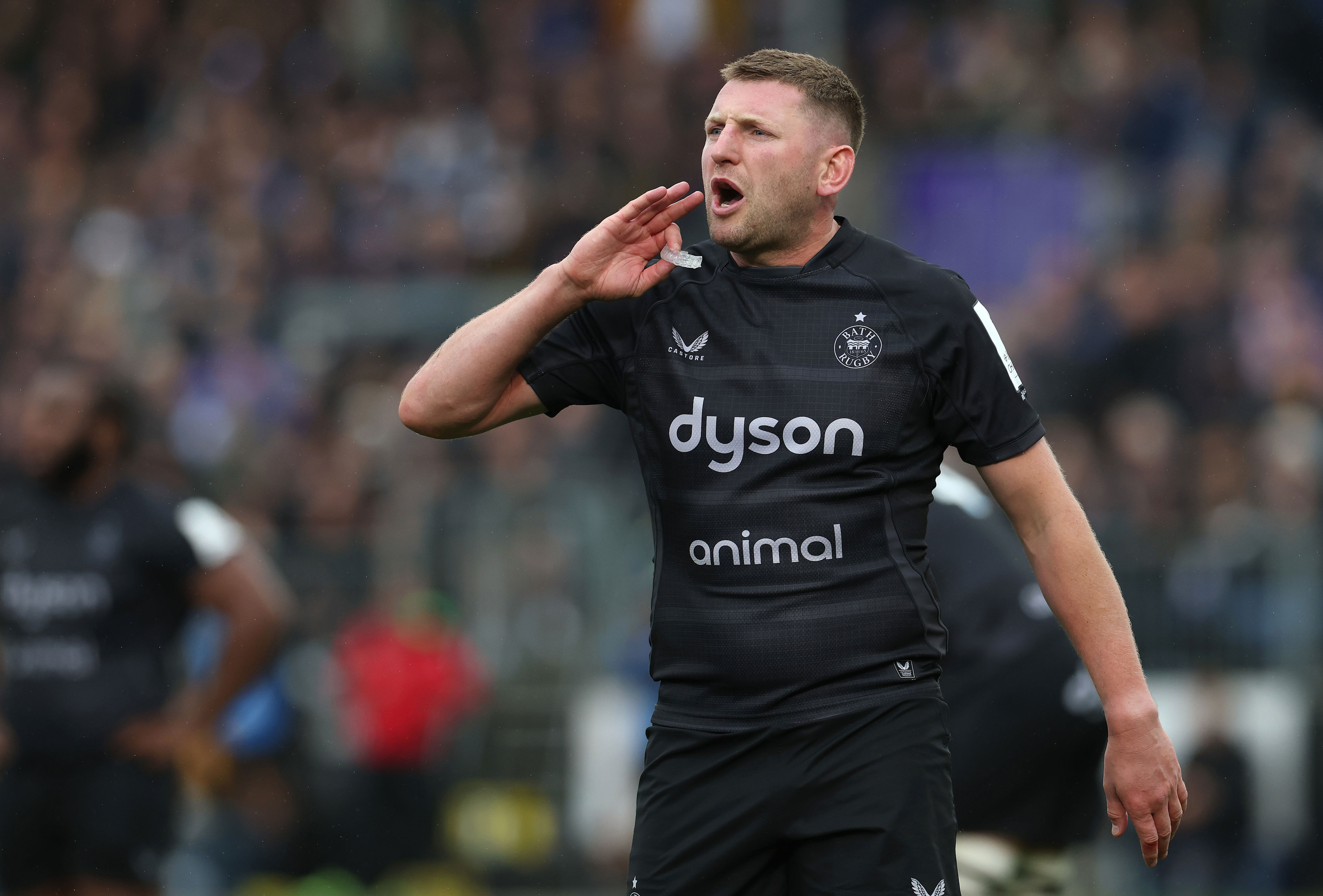 Mixed fortunes for Scotland rugby stars as Investec Champions Cup ...