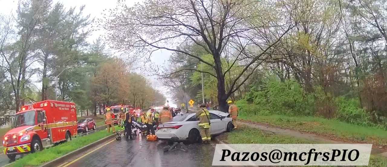 Maryland crash turns fatal as driver dies day after slamming into tree ...