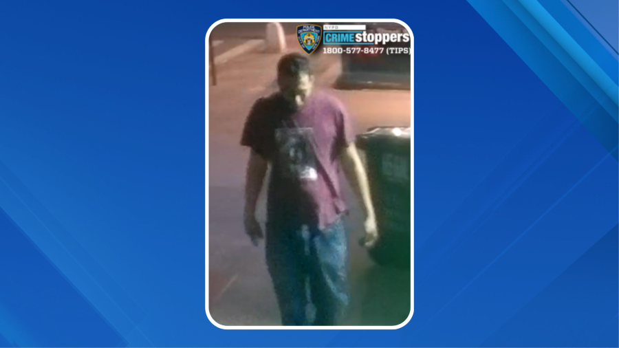 Man injured in punch attack in NYC<br><br>