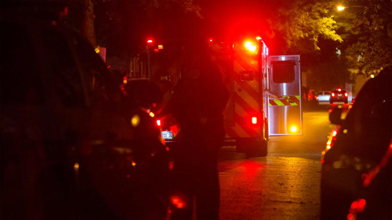 Chicago crime: Man stabbed, killed on South Side before suspect fled ...