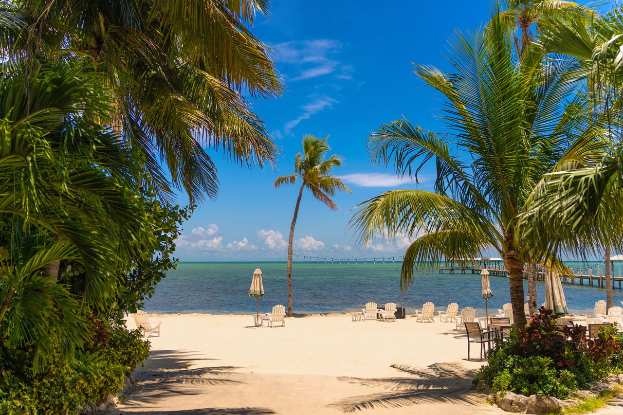 Beach in Islamorada with palm trees and lounge chairs