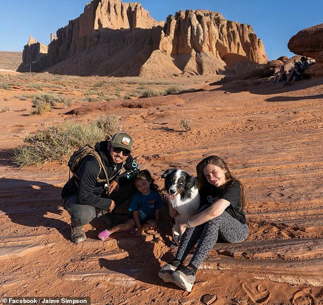 'America's saddest husky' spotted wandering Arizona desert without ...