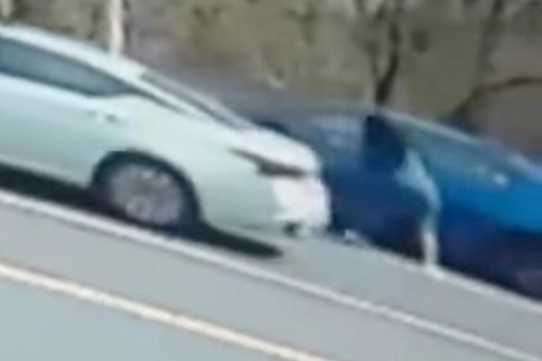 Video shows crazy road rage cat fight that has witness begging priest ...