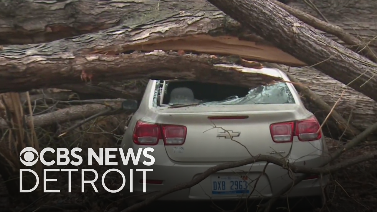 Monroe County residents clean up debris after storms sweep through area