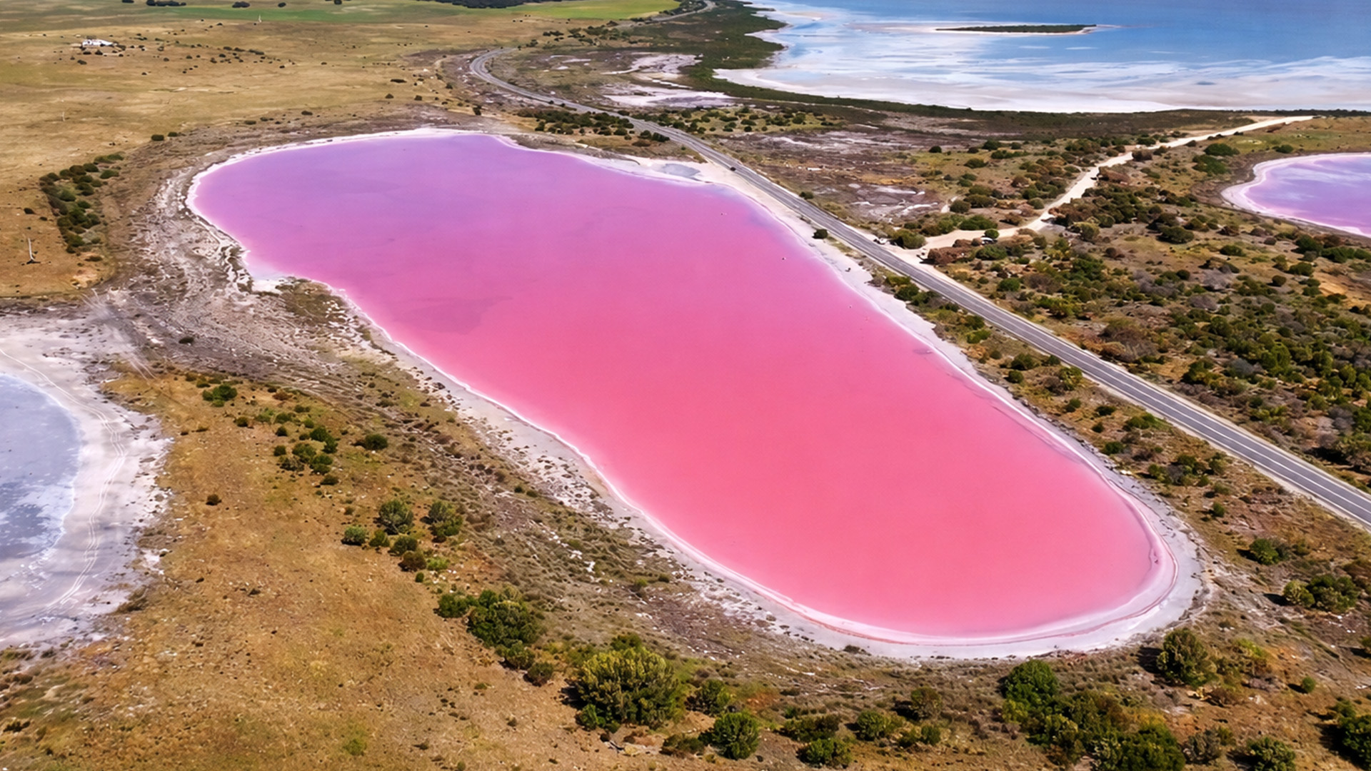 Why this lake in Australia is bright pink