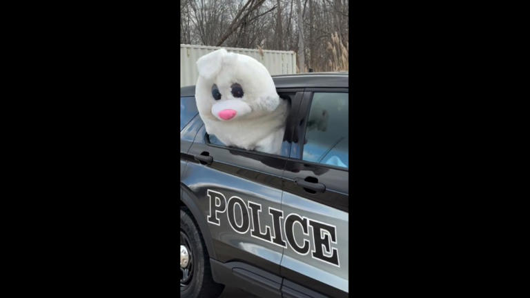 Easter Bunny 'escapes' from Michigan police cruiser, recreating viral video