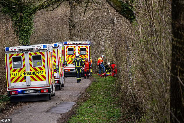 Mother and her baby among three crushed to death by 100ft tree during ...