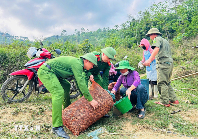 Sắc phục xanh góp sức dựng xây mùa vàng mới trên nương cao Tuyên Quang