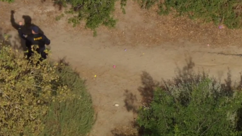 Family finds possible human remains in Long Beach during Easter egg ...