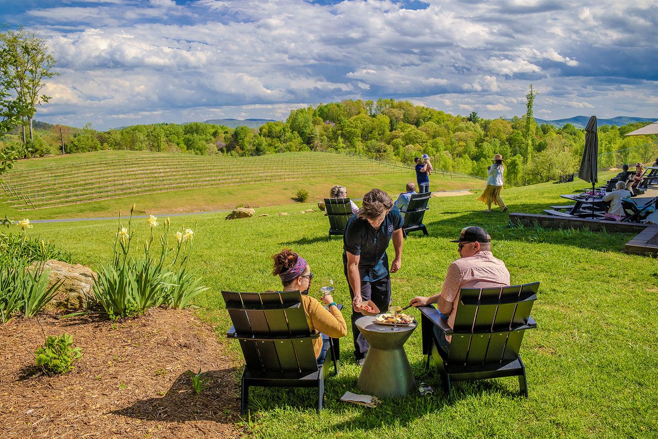 Marked Tree Vineyard