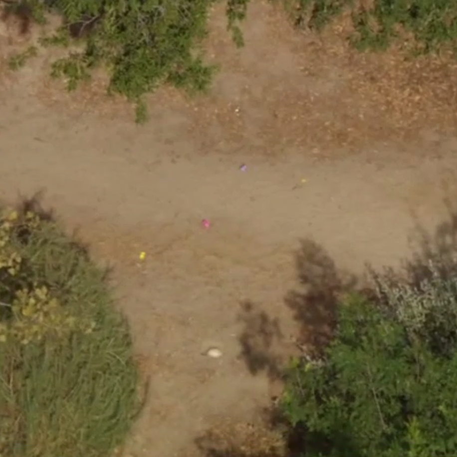 Family finds human remains in Long Beach during Easter egg hunt, police say
