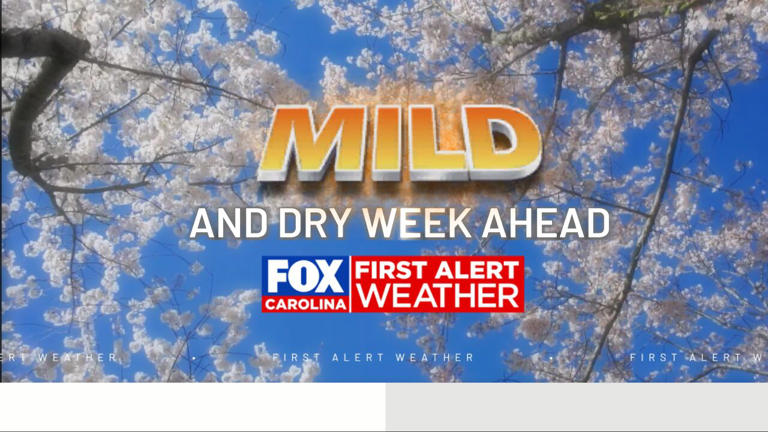 After much needed rain, a dry and mild week is ahead