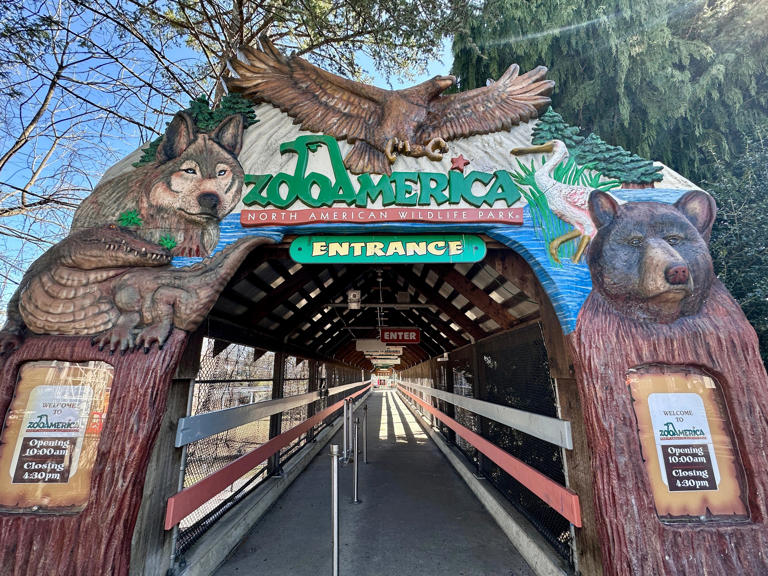 Toddler injured after sticking hand into wolf habitat at ZooAmerica