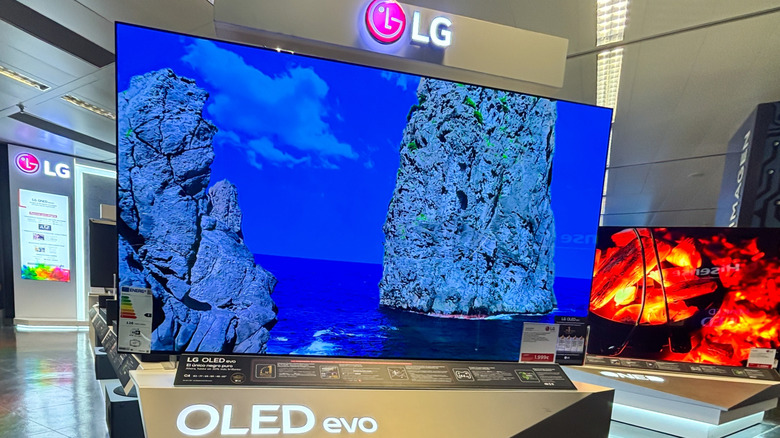 What does 'Evo' mean on LG OLED TVs?