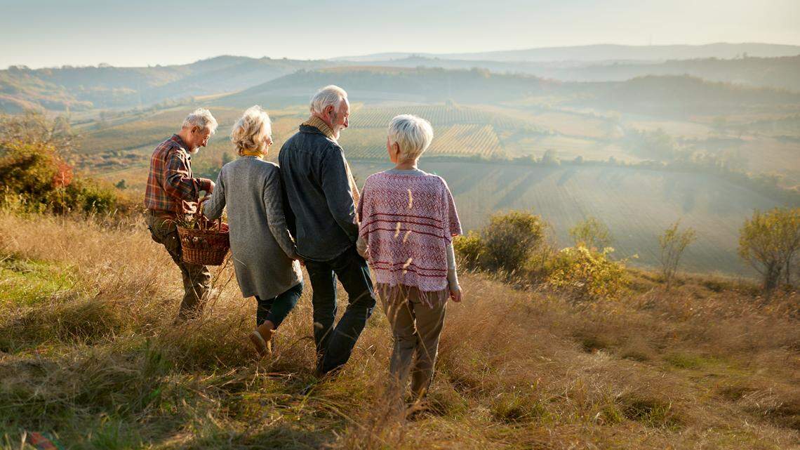 Exactly how progressive are Social Security & Medicare? Less than you ...