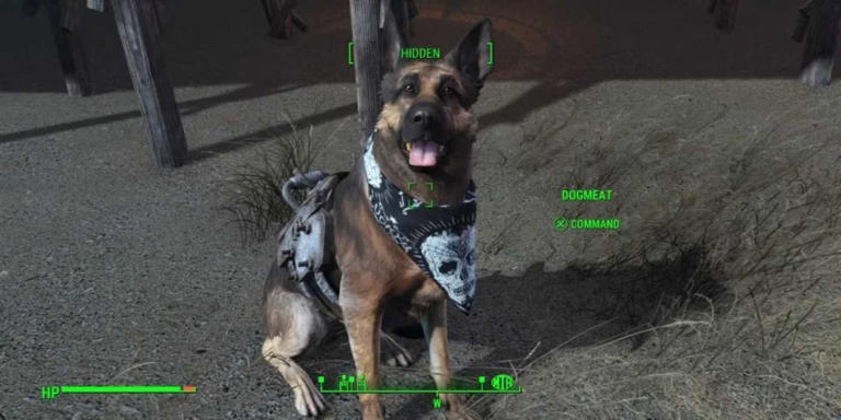 10 best Fallout series companions, ranked