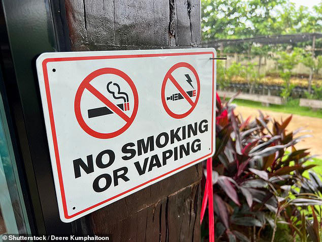 elfbar nachfüll pod läuft aus Thailand Tourist Bans & Laws 2026: Vaping, Weed & Fines main image 1
