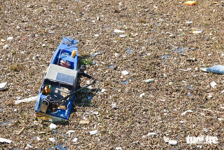 Hãi hùng ô nhiễm môi trường các cửa cống ngăn mặn ở An Giang