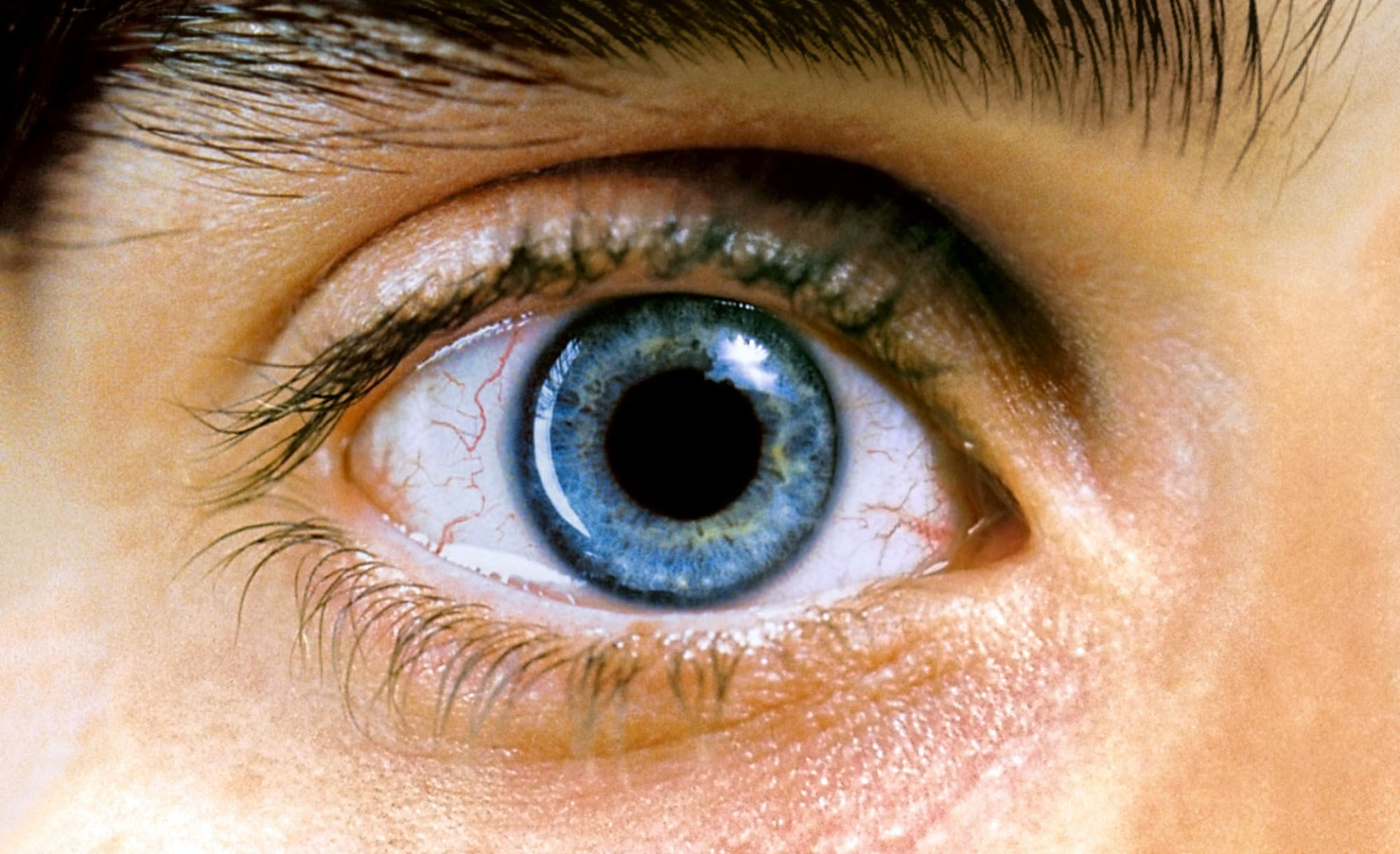 The trippy genre known as psychedelic film