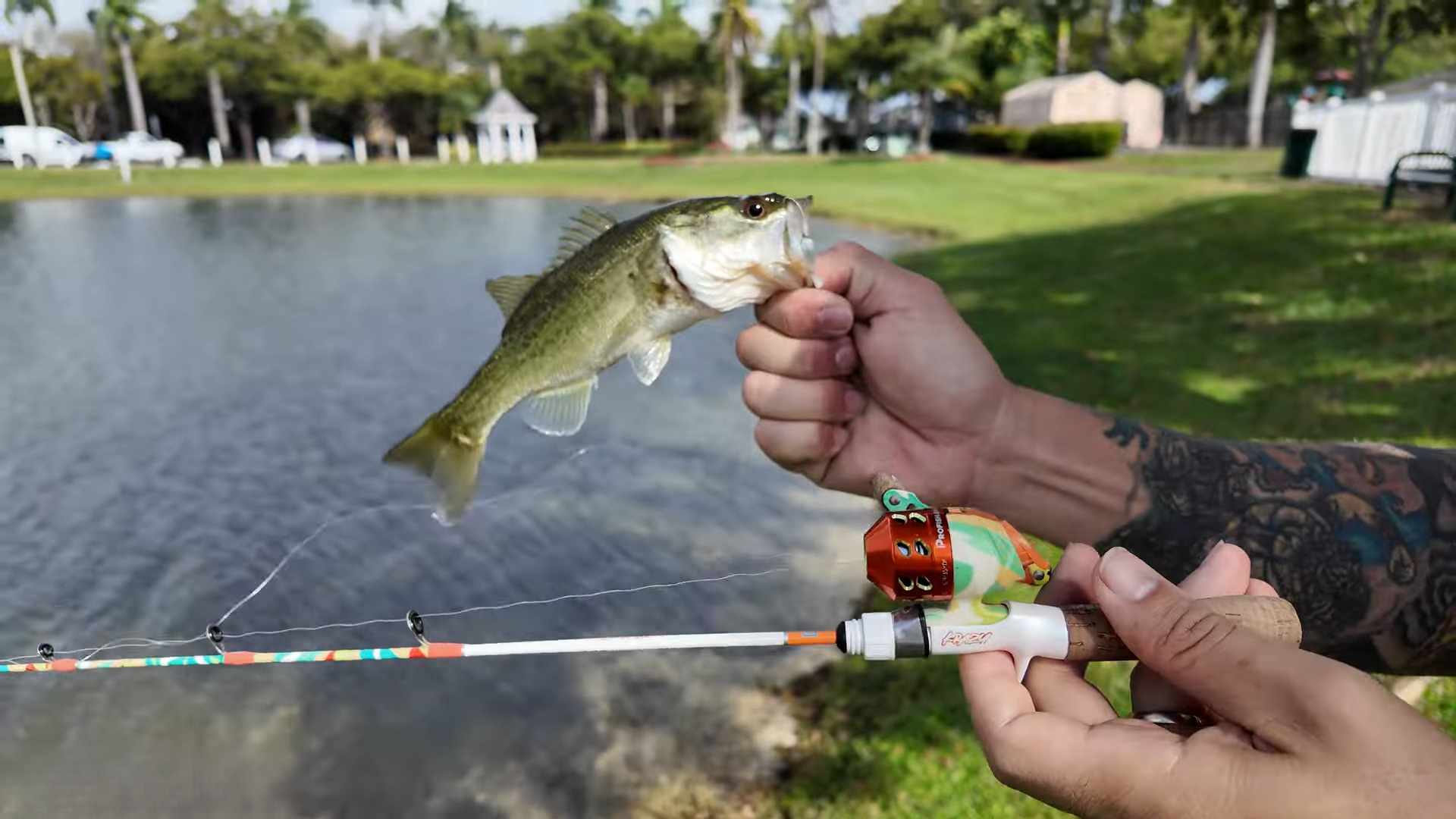 This is what happens when you fish a bass pond with a toy sized rod