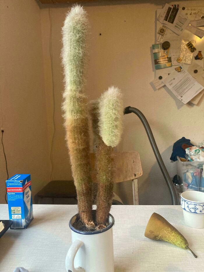 47 pics that are oddly interesting and mildly intriguing