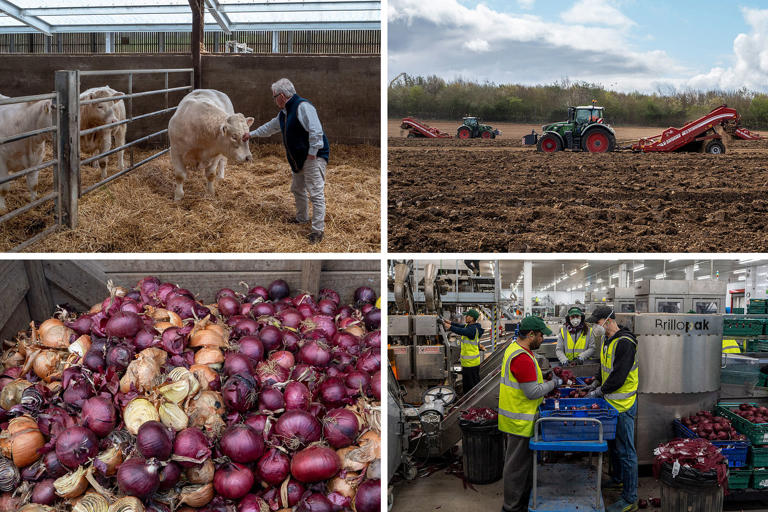 Iran war's shock waves threaten England's farms 6,000 miles away