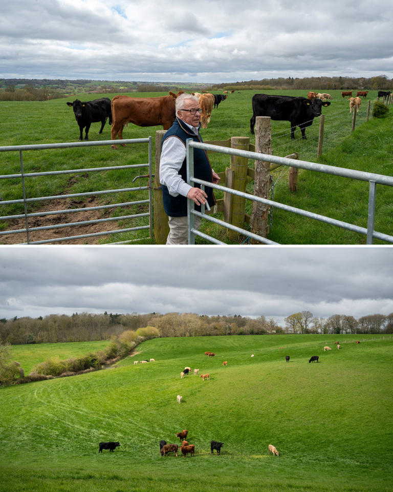 Iran war's shock waves threaten England's farms 6,000 miles away