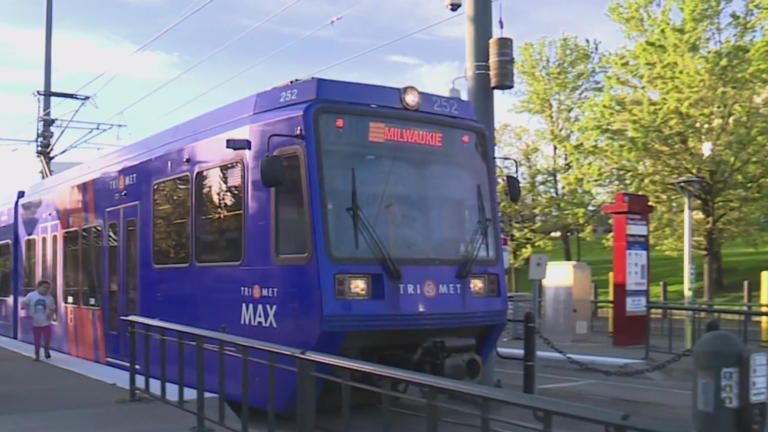 Man recounts bizarre attack on MAX train where suspect was taken away ...