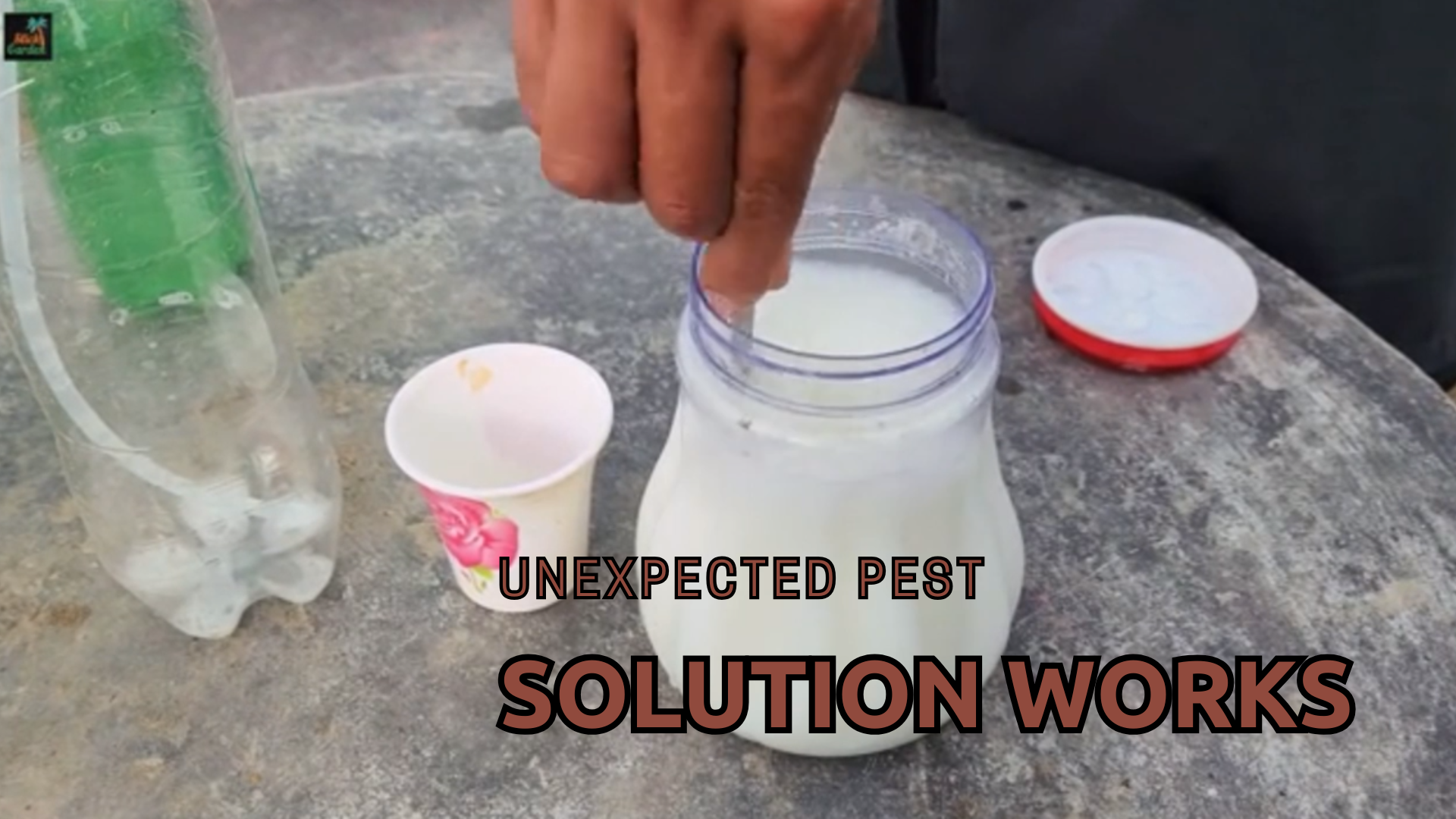 Unexpected pest control trick that really works