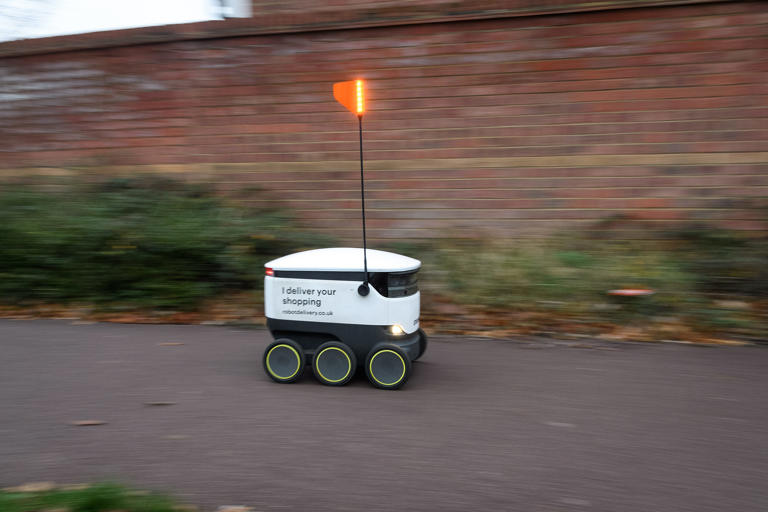 Can humans and robots peacefully co-exist? Delivery bot CEOs say people ...