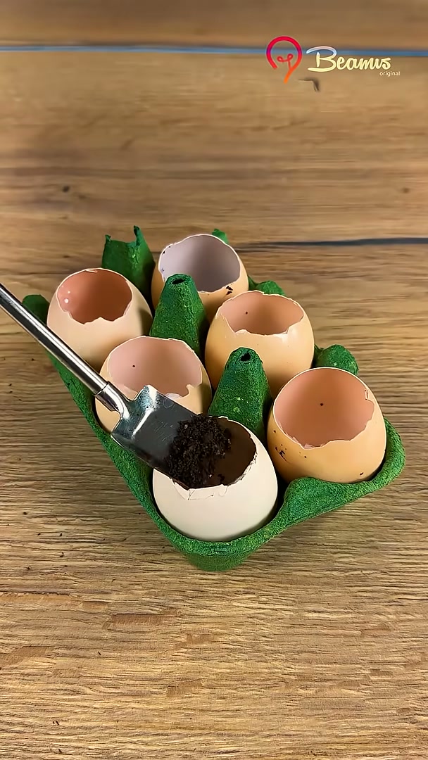 Eggshell seed starting method #easy #eggshells #seed