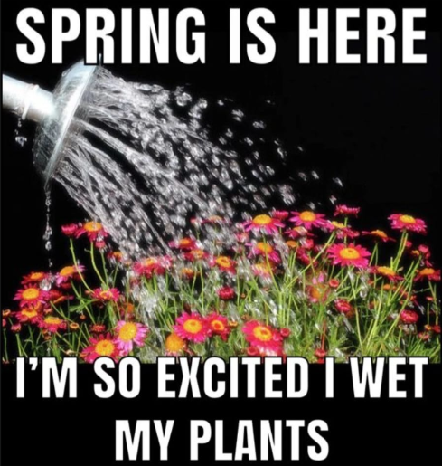 21 springtime memes manifesting the collective joy of the first 70°F day