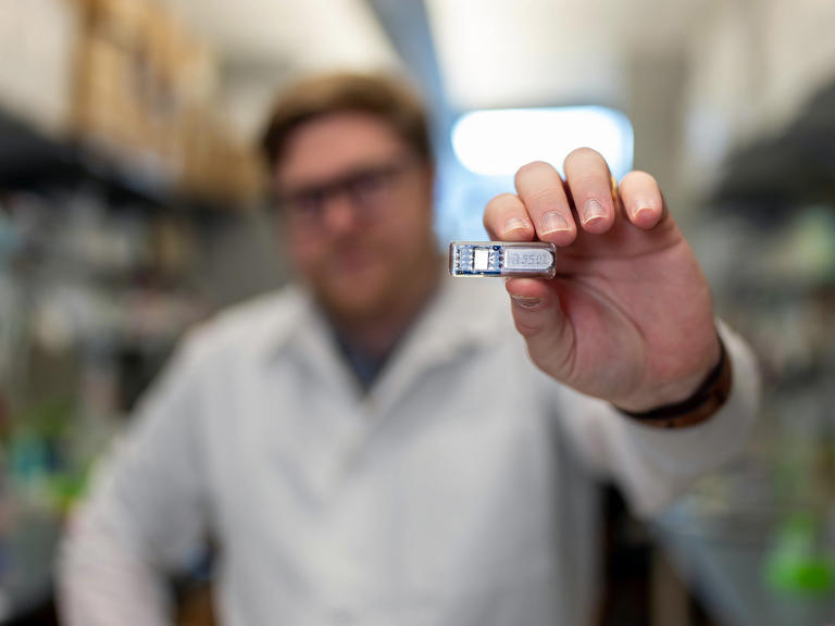 Living pharmacy implant keeps drug-producing cells alive longer