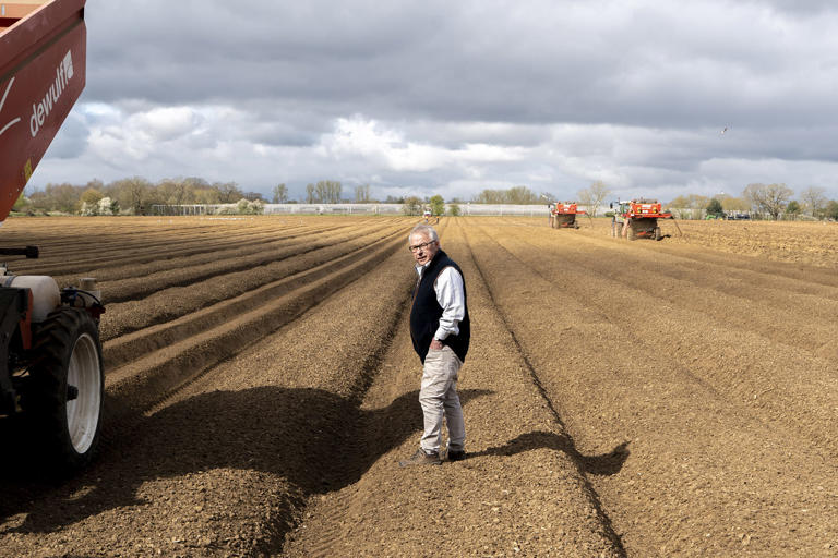 Iran war's shock waves threaten England's farms 6,000 miles away