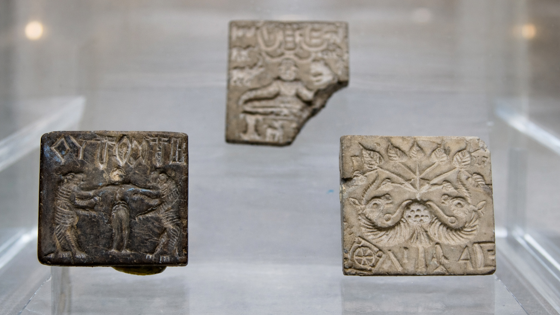 What language did the Indus Valley Civilization speak?
