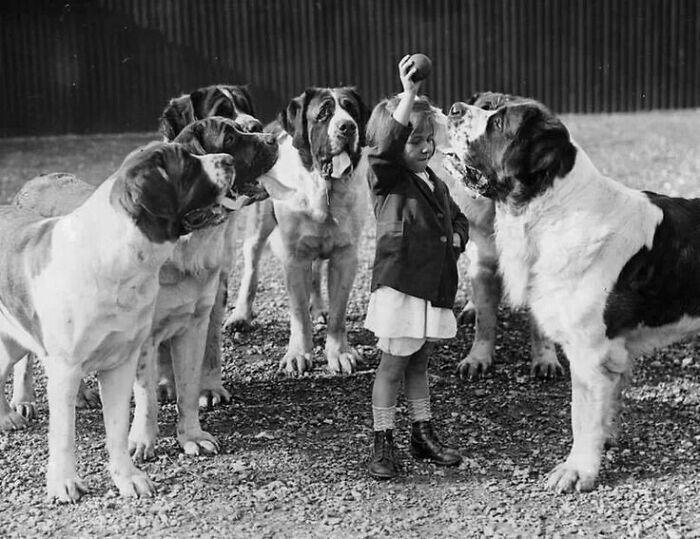 44 historical moments that show the unchanging bond between dogs and ...