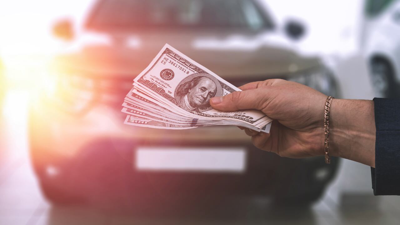Pennington County treasurer explains how South Dakota vehicle excise ...