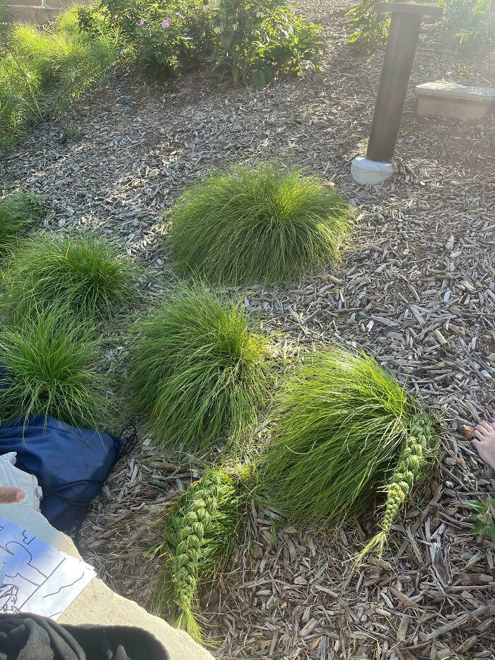 47 pics that are oddly interesting and mildly intriguing