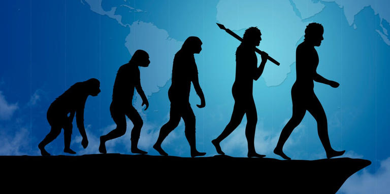 Scientists think they found the first human ancestor that walked upright