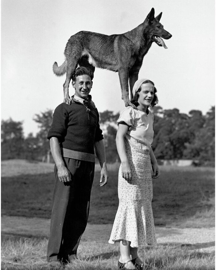 44 historical moments that show the unchanging bond between dogs and ...