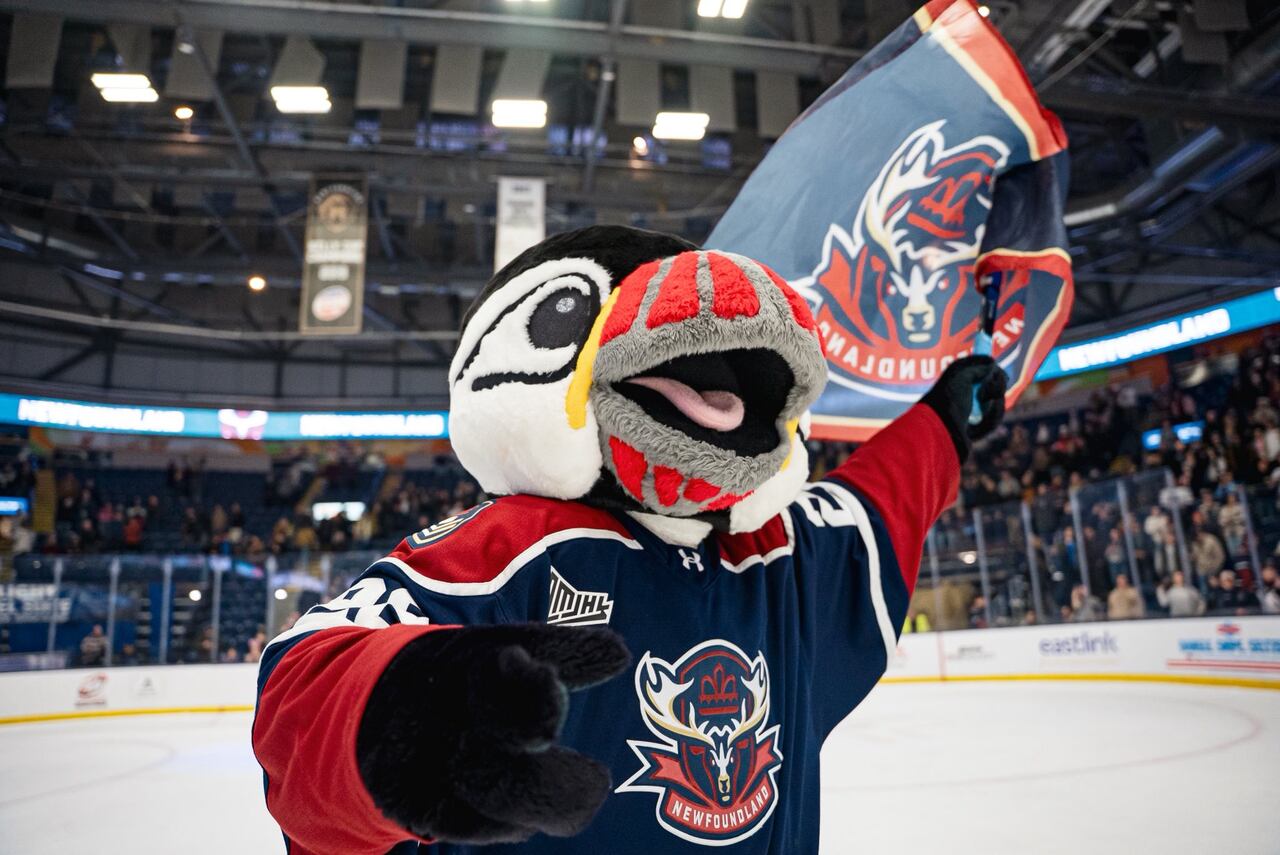 Newfoundland Regiment 'hungry' as team heads to second round of QMJHL ...