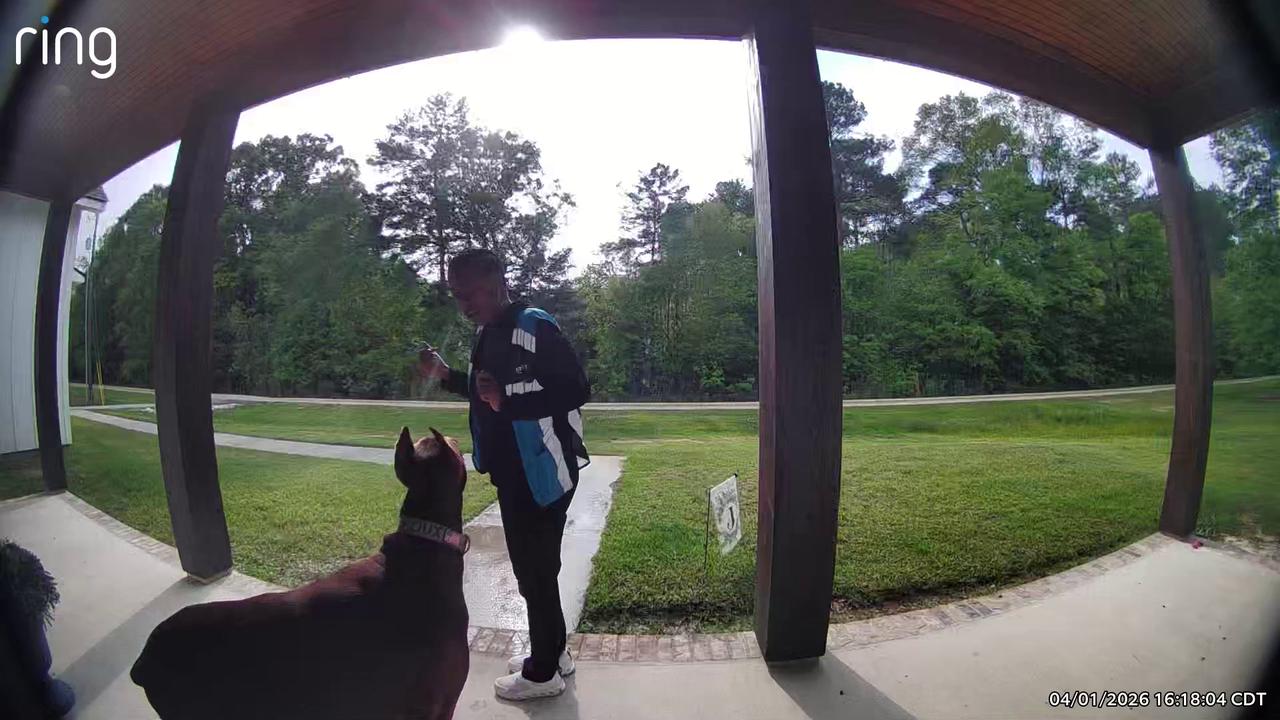 Roux the 140lb Doberman makes friends with Amazon driver